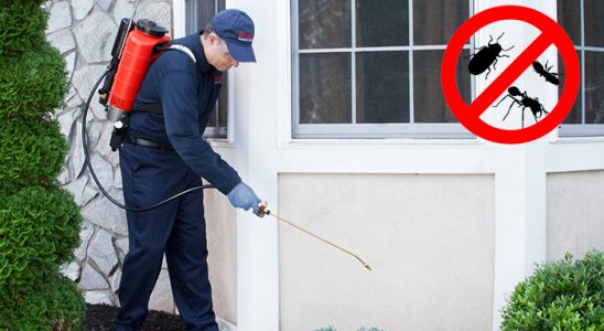 Uğurludağ Dezenfeksiyon böcek ilaçlama ve haşere kontrolü — ilaclama-tr.com